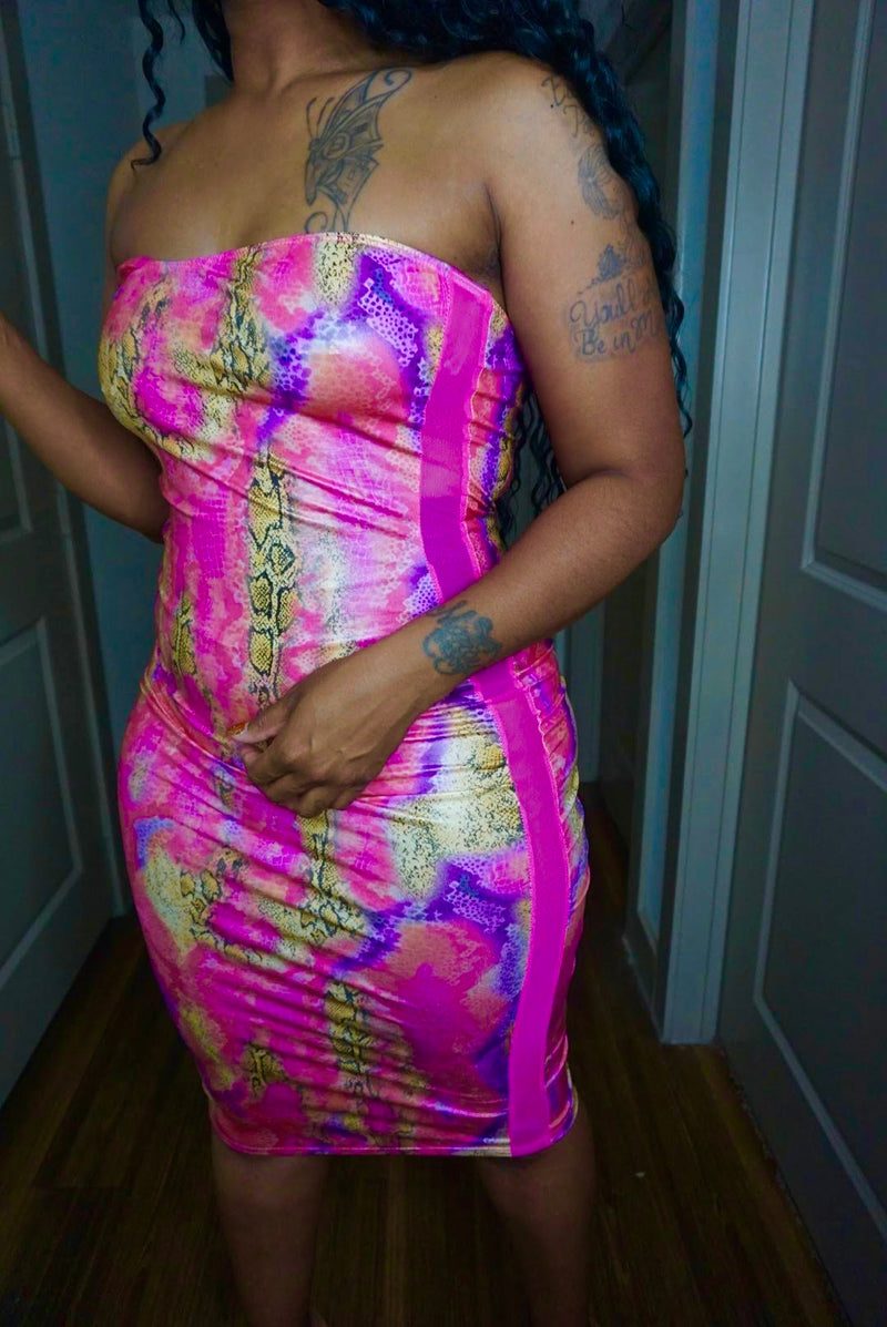 Pink Anaconda