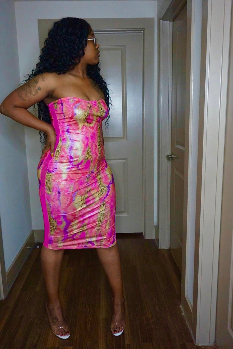 Pink Anaconda